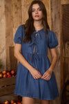 Emilia Chambray Dress